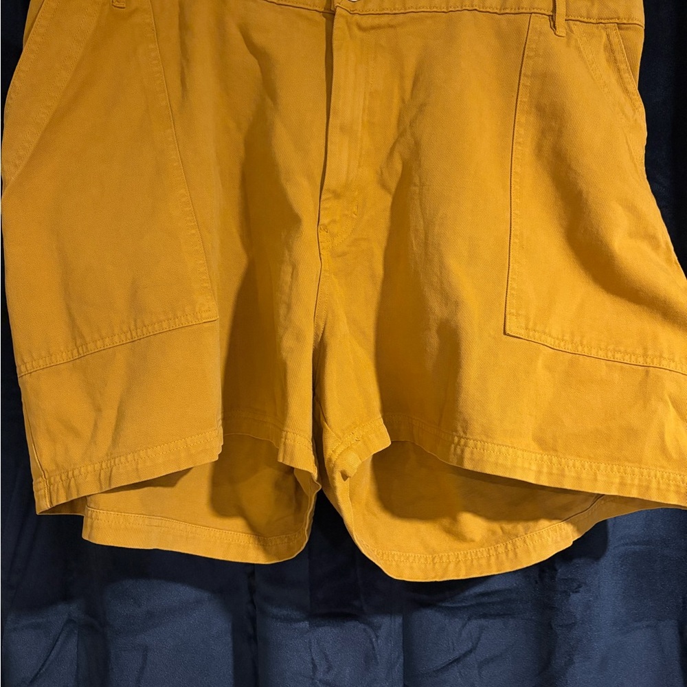 Big Bud Press Work Pants -  Shorts